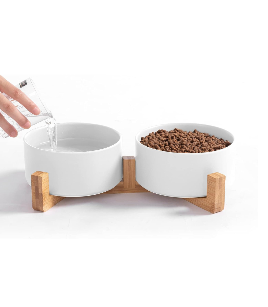 1.png Cat Ceramic Bowls - Image 1